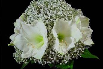 Bouquet pequeño de novia