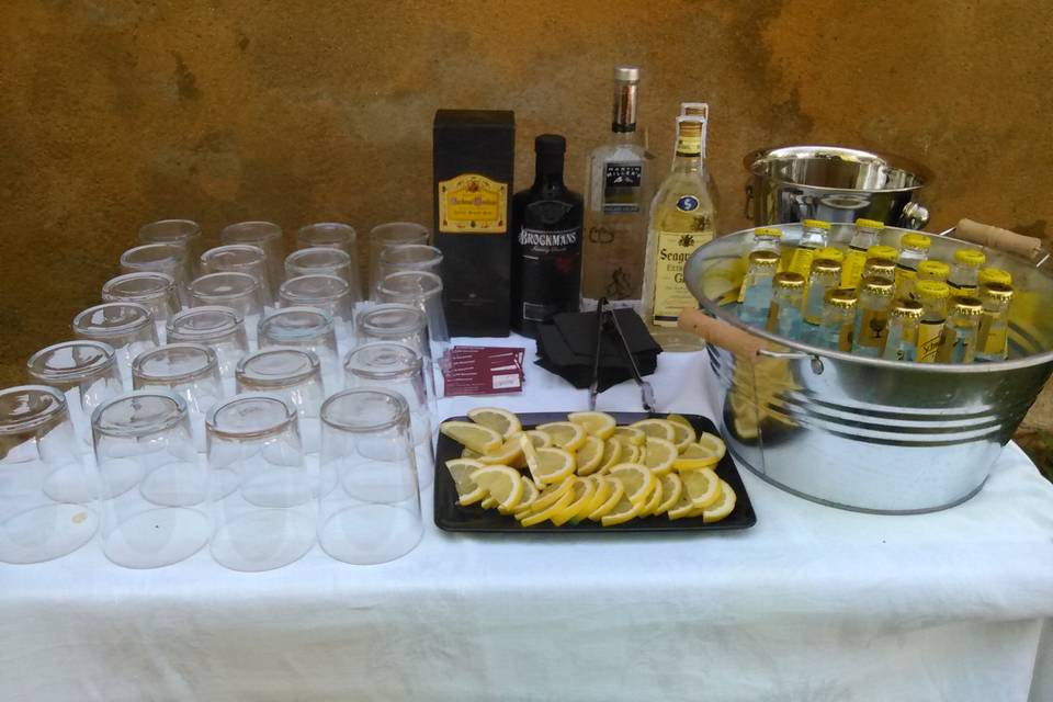 Cata de gintonics