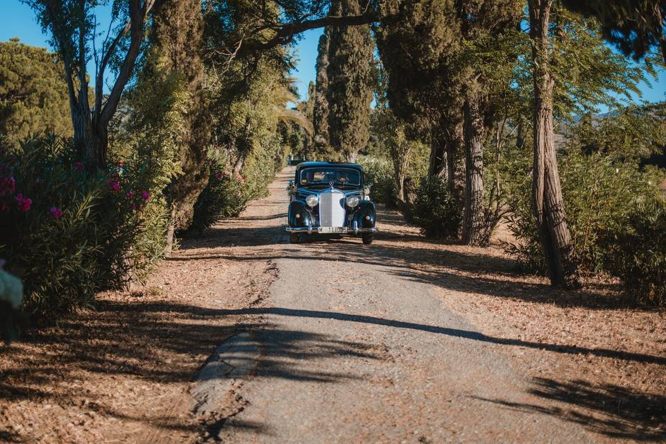 Coche de novias