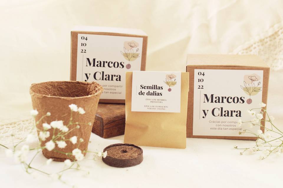 Kits de cultivo (dalias)