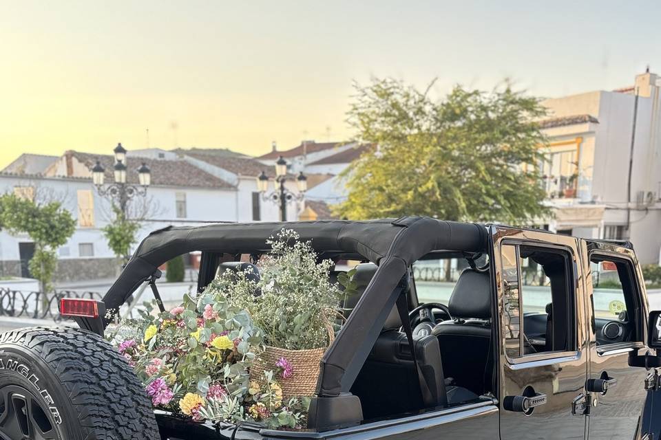 Jeep Wrangler SIN techo