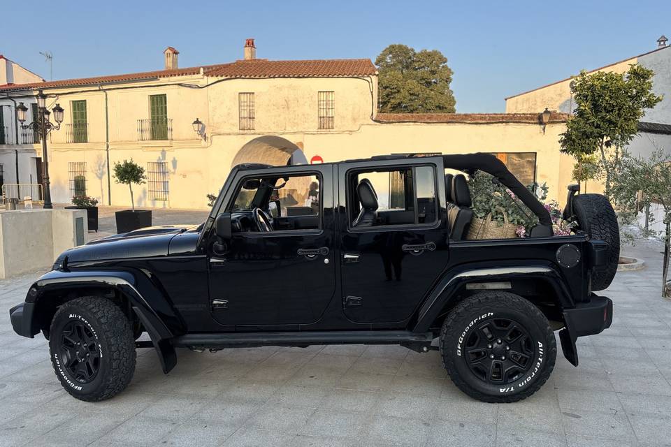 Jeep Wrangler SIN techo