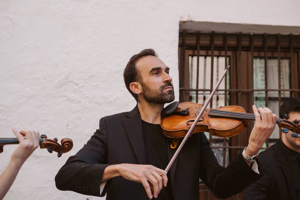 Detalle violín