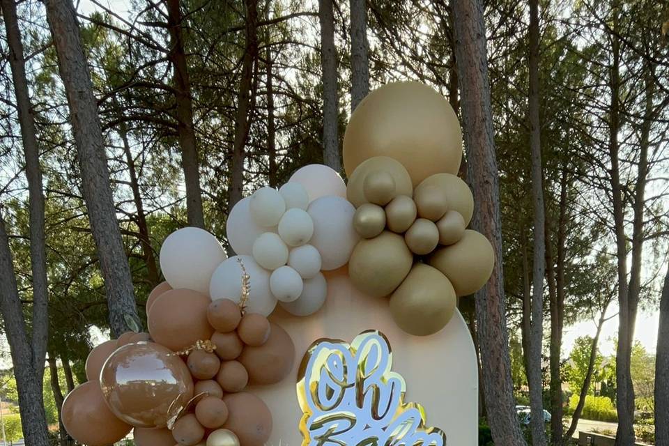 Decoracion baby shower