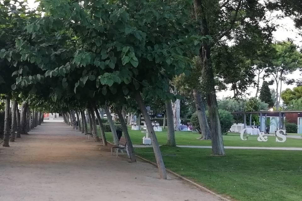 El Jardí de les Palmeres