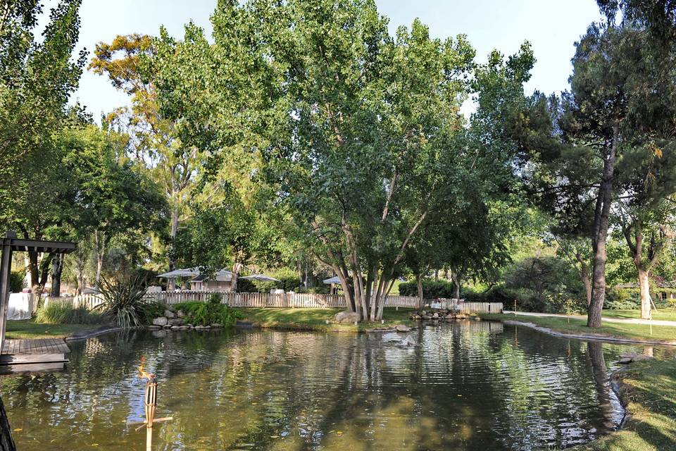 El Jardí de les Palmeres