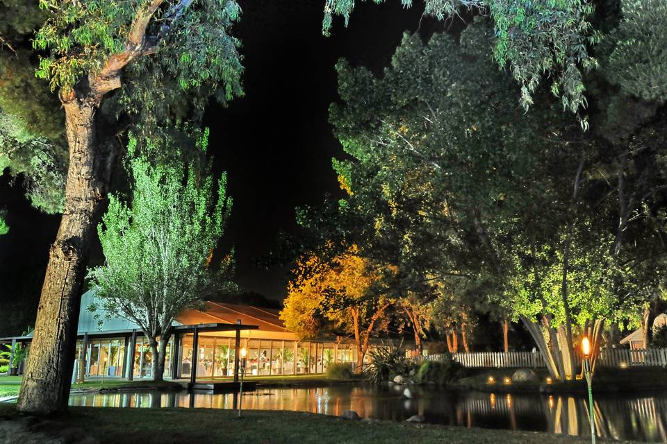 El Jardí de les Palmeres