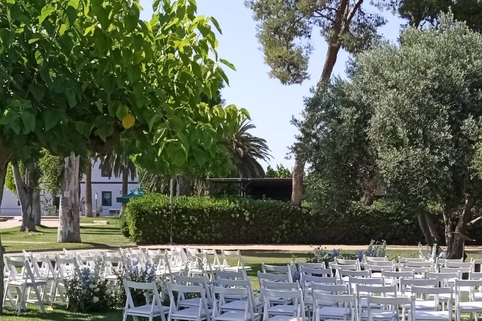 El Jardí de les Palmeres