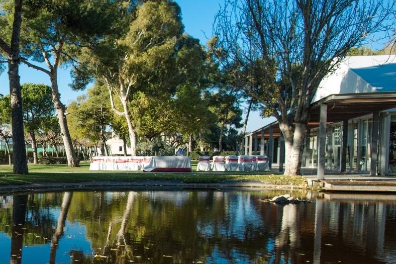 El Jardí de les Palmeres