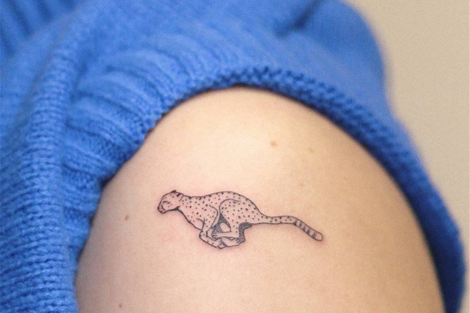 ✨