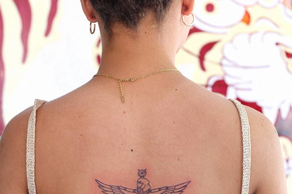 ✨