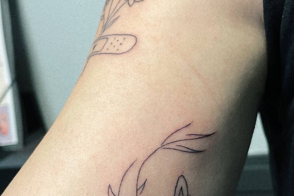 ✨