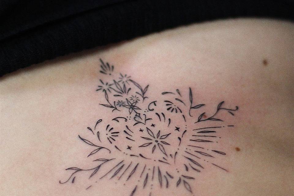 ✨
