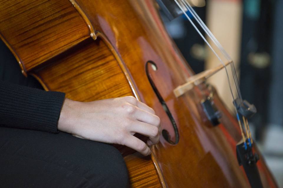 Cello