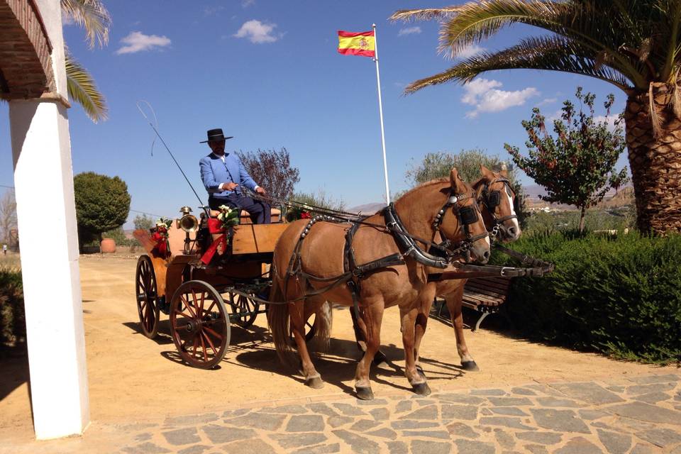 Almazara de Paulenca