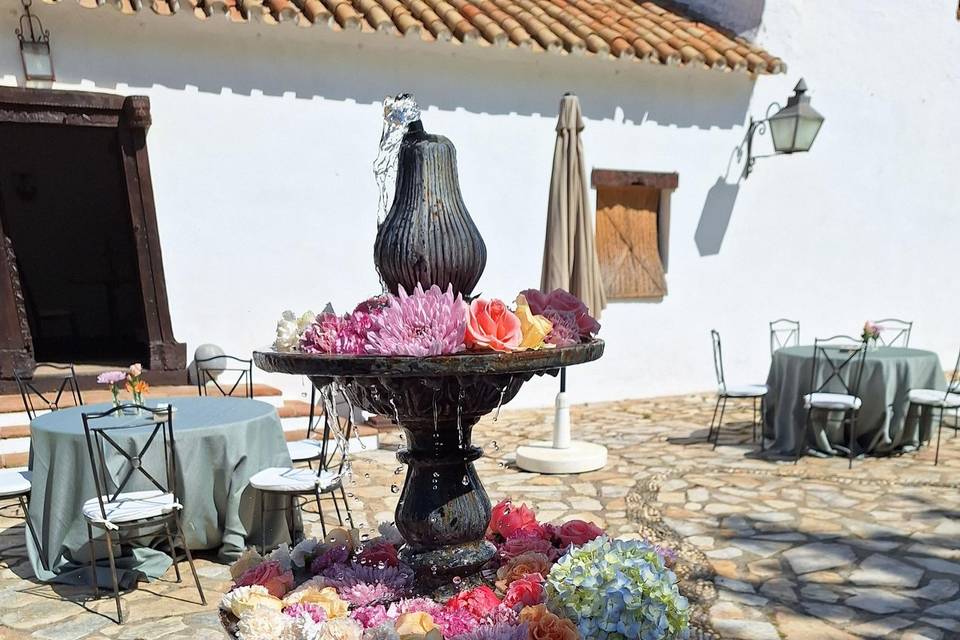 Decoración fuente