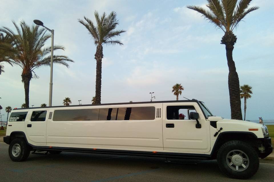 Lateral hummer