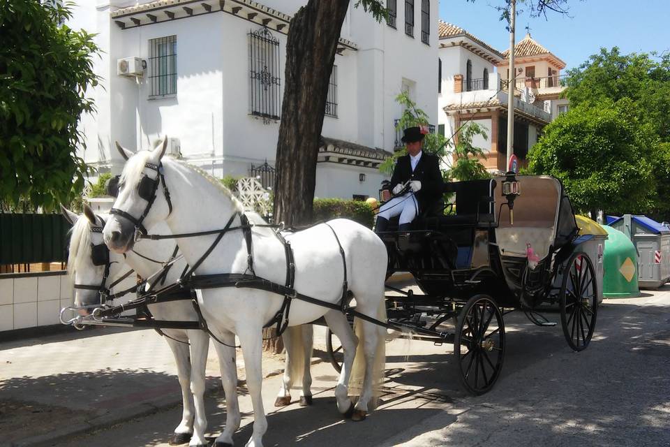 Juan Jose Solis - Carruajes y coches clásicos (1)