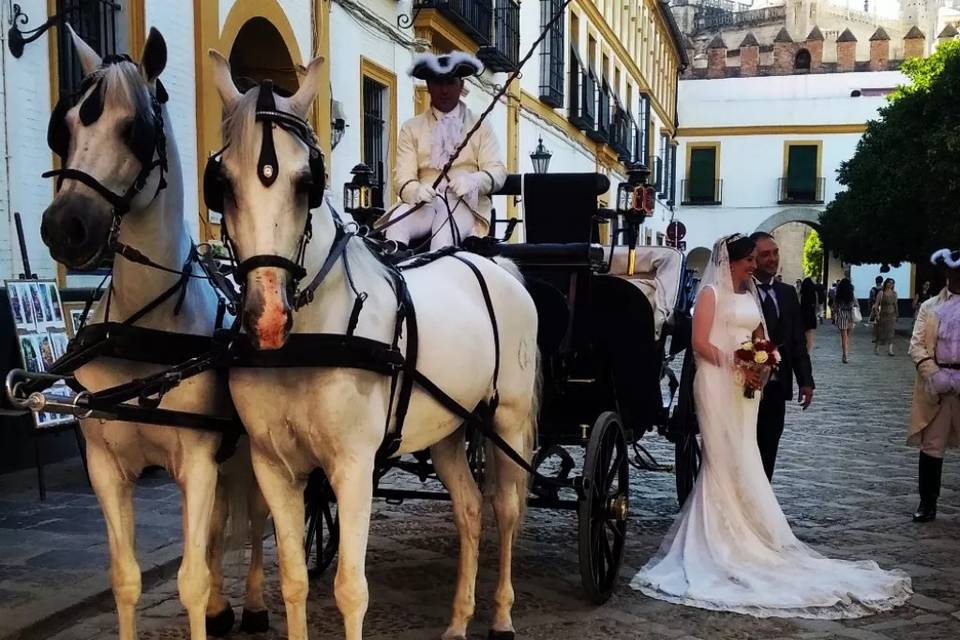 Juan Jose Solis - Carruajes y coches clásicos