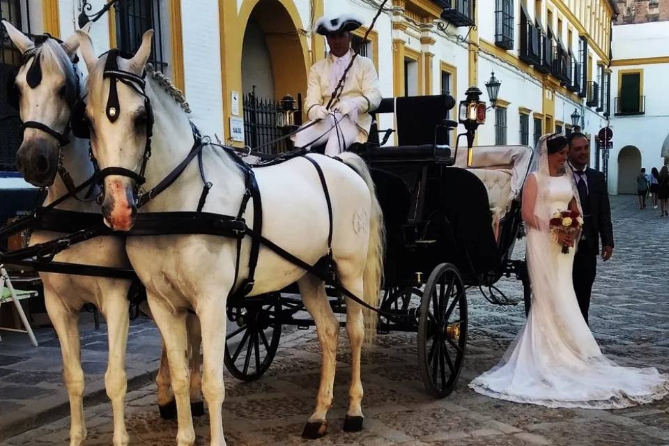 Juan Jose Solis - Carruajes y coches clásicos