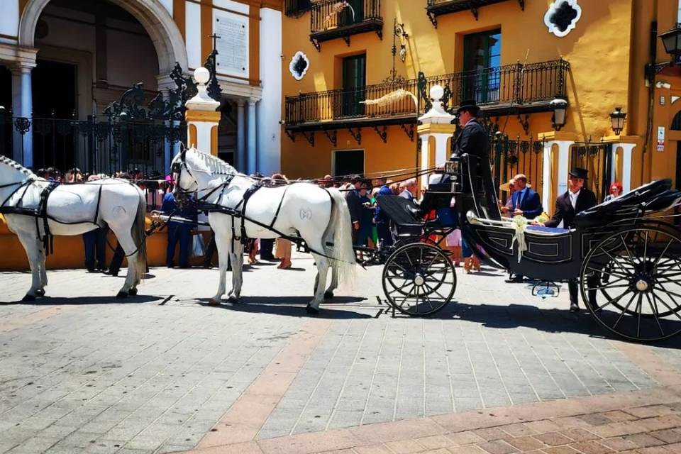 Juan Jose Solis - Carruajes y coches clásicos