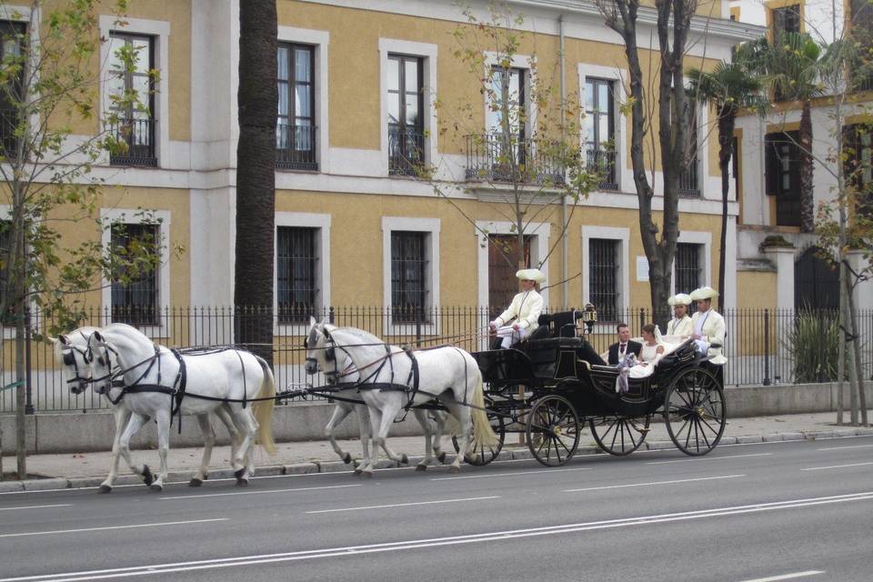 Juan Jose Solis - Carruajes y coches clásicos