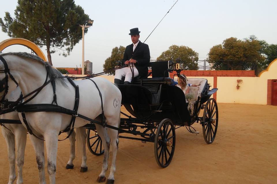 Juan Jose Solis - Carruajes y coches clásicos