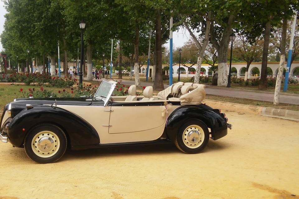 Juan Jose Solis - Carruajes y coches clásicos (18)