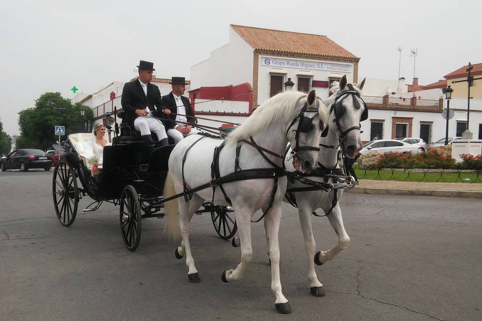 Juan Jose Solis - Carruajes y coches clásicos