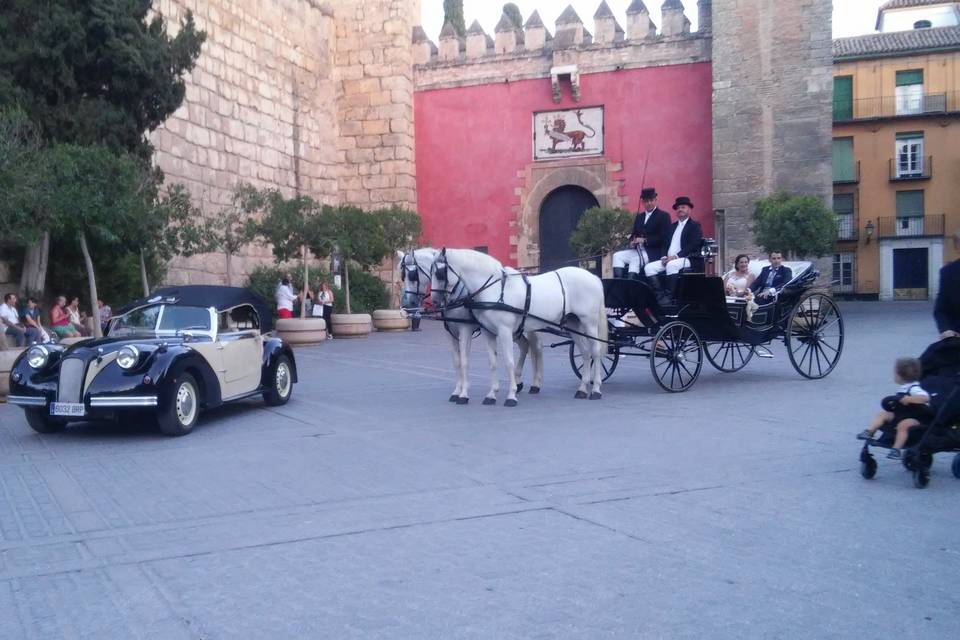 Juan Jose Solis - Carruajes y coches clásicos (218)