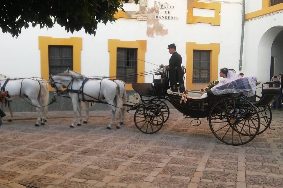 Juan Jose Solis - Carruajes y coches clásicos (233)