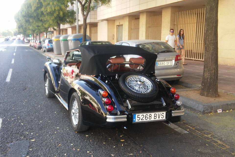 Juan Jose Solis - Carruajes y coches clásicos