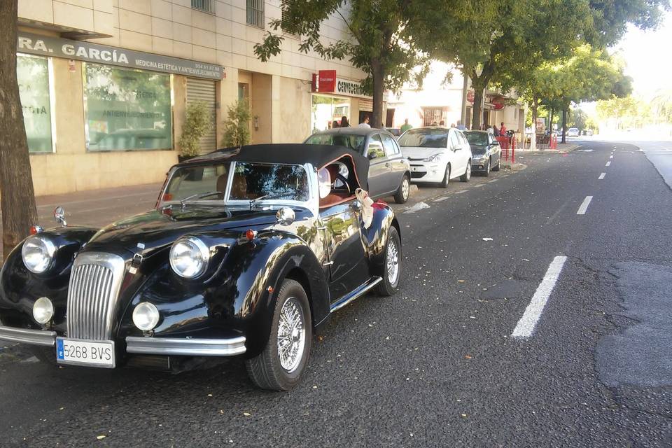 Juan Jose Solis - Carruajes y coches clásicos