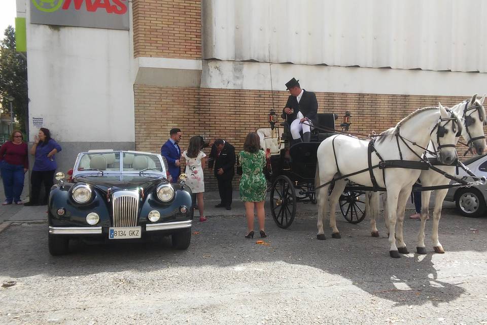 Juan Jose Solis - Carruajes y coches clásicos (23)