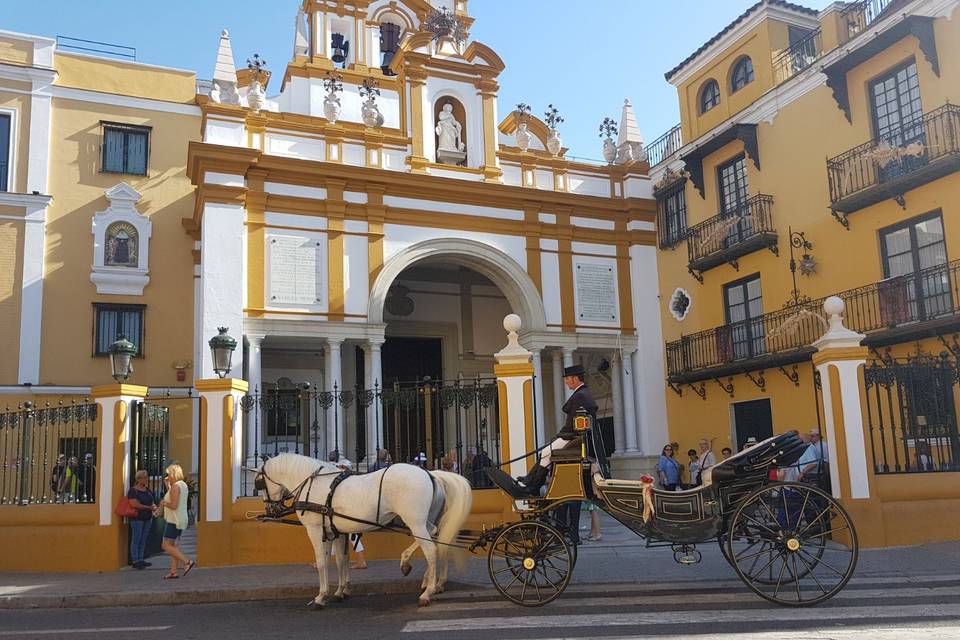 Juan Jose Solis - Carruajes y coches clásicos (307)