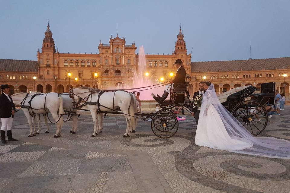 Juan Jose Solis - Carruajes y coches clásicos (369)