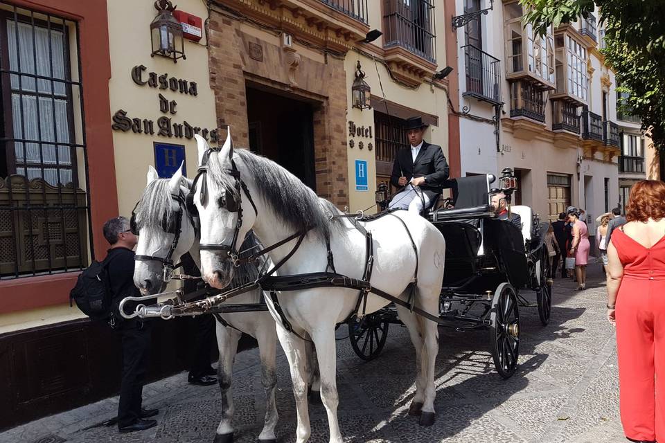 Juan Jose Solis - Carruajes y coches clásicos