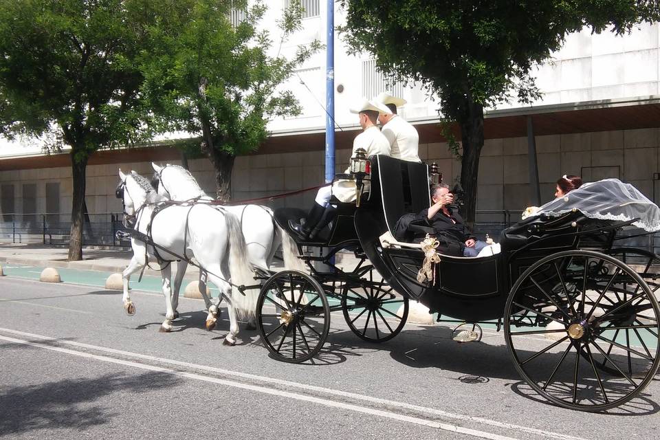 Juan Jose Solis - Carruajes y coches clásicos (48)