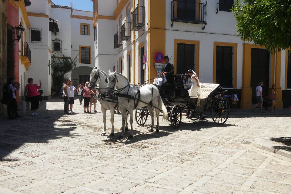 Juan Jose Solis - Carruajes y coches clásicos