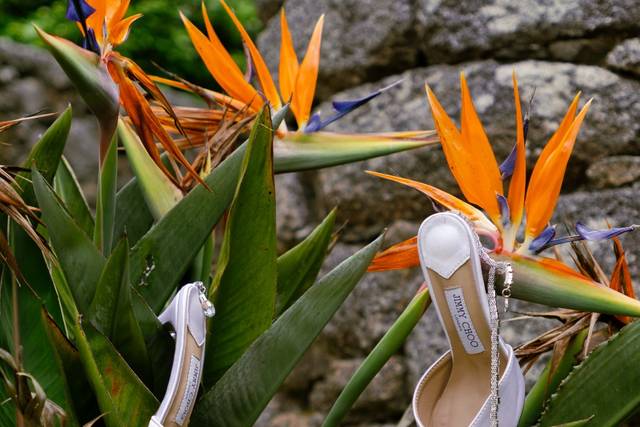 Zapatos