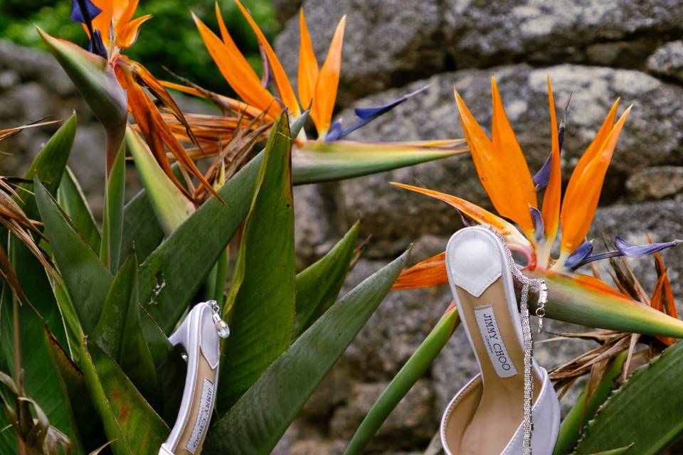 Zapatos