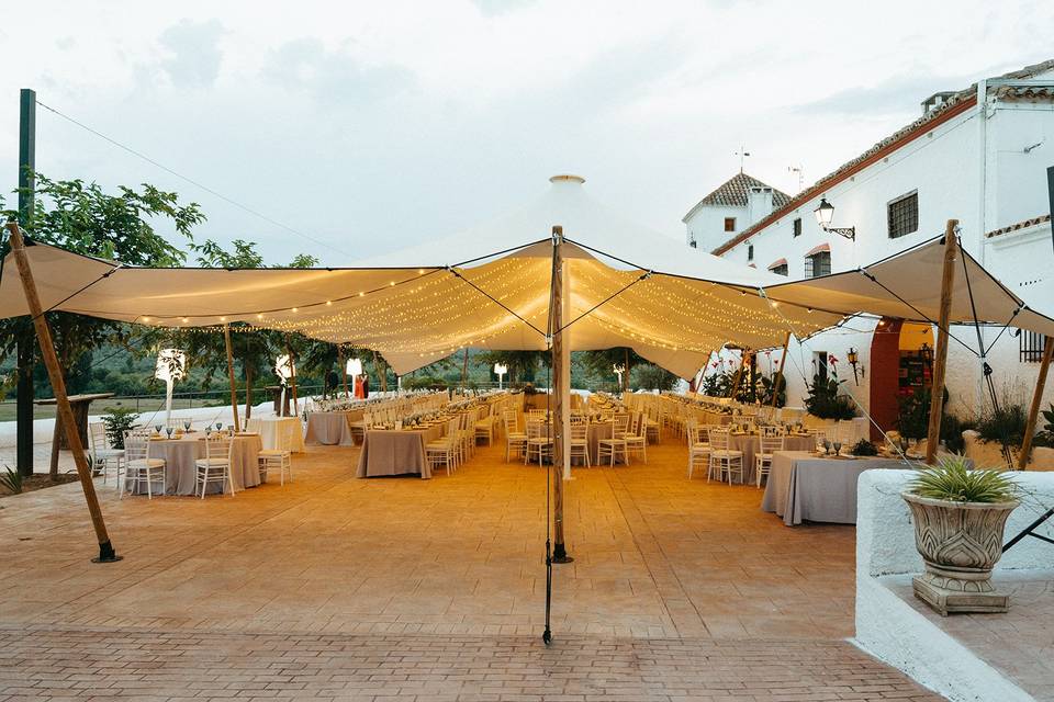 Carpa