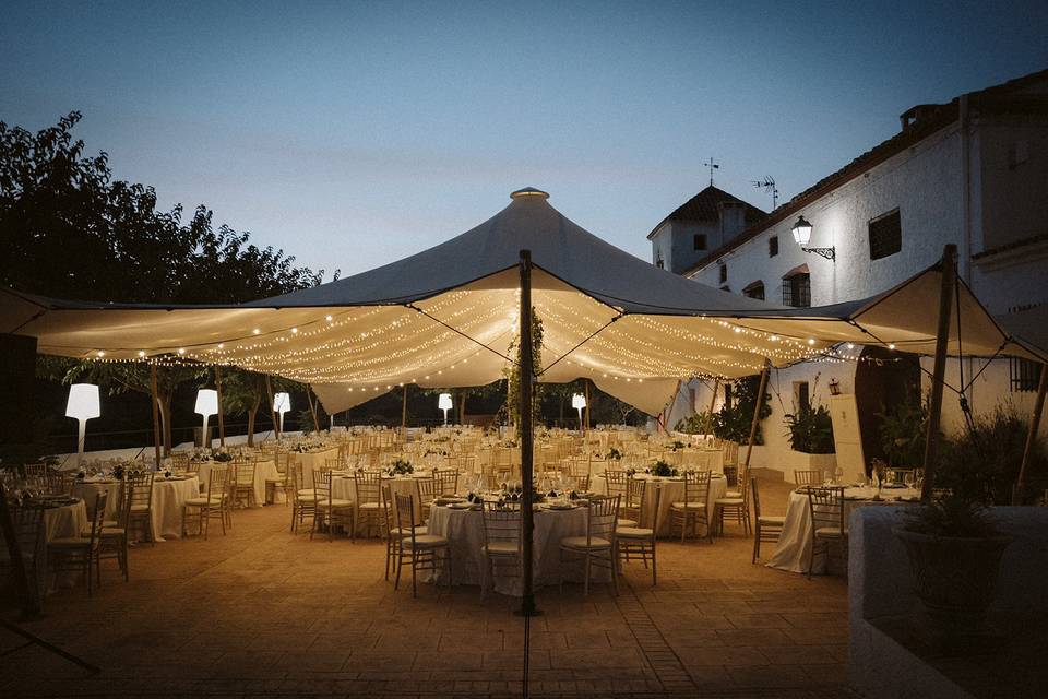 Carpa