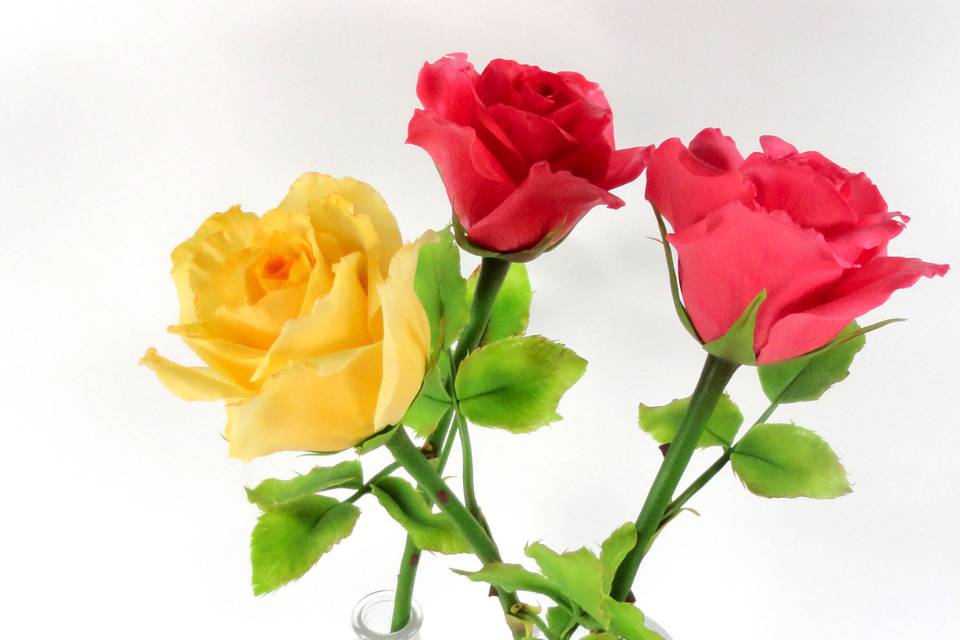 Rosas