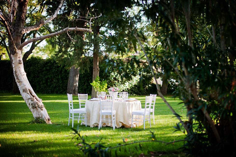 Mesa vestida en jardín