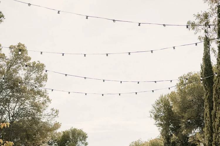 Boda A+F