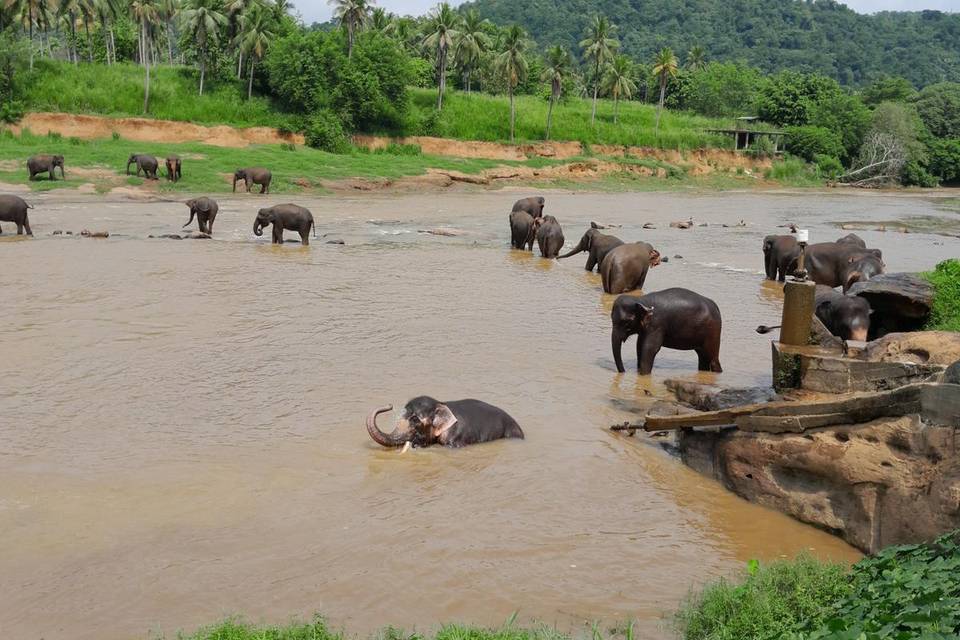 Sri Lanka