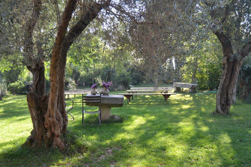 Jardín de las oliveras