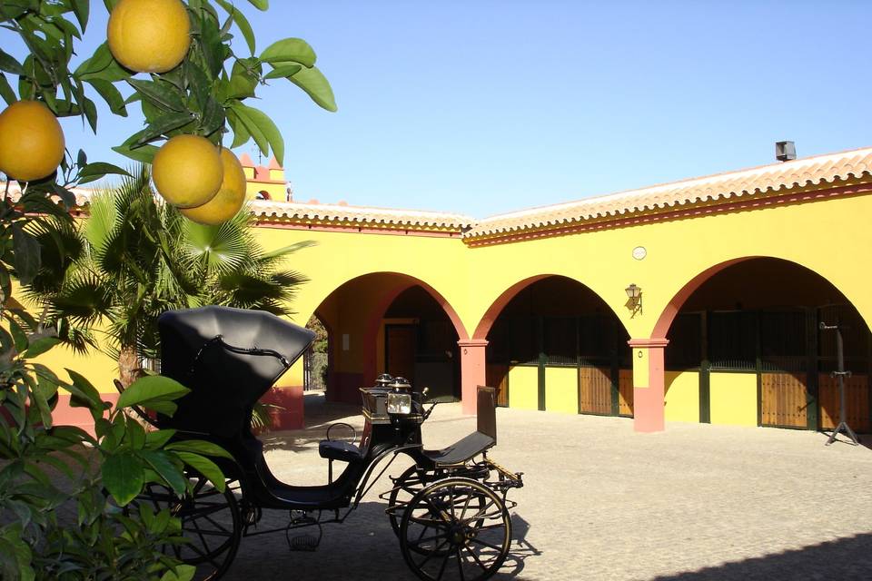 Patio de caballos