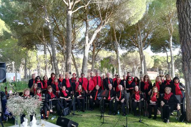 Ceremonia civil